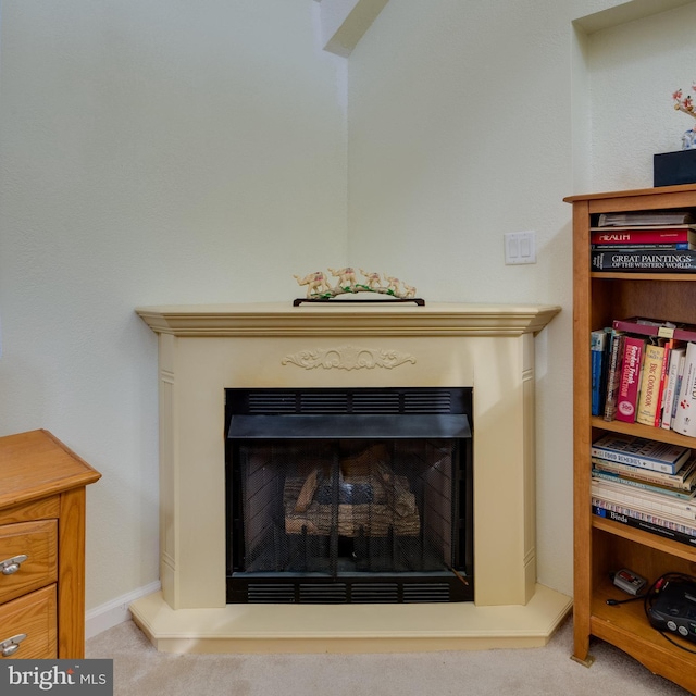 details with a fireplace with raised hearth and carpet flooring