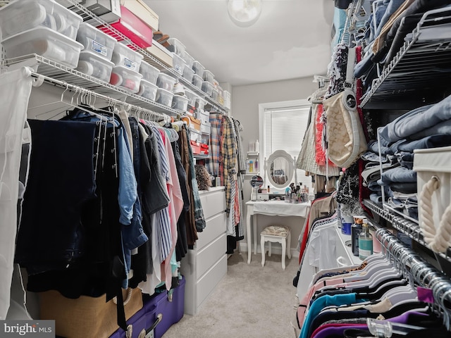 walk in closet with carpet flooring