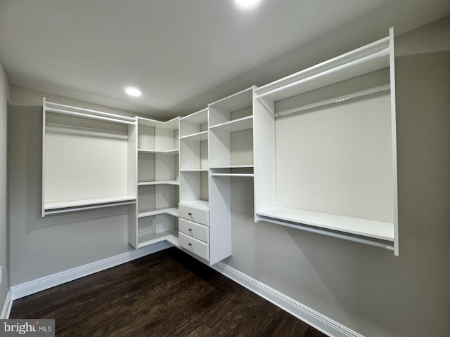 walk in closet featuring dark wood finished floors