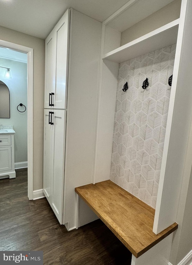 mudroom with baseboards and dark wood finished floors