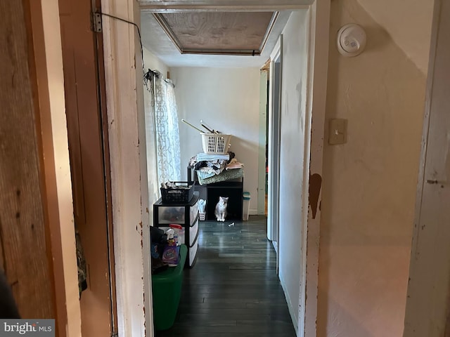 corridor featuring dark wood finished floors and attic access