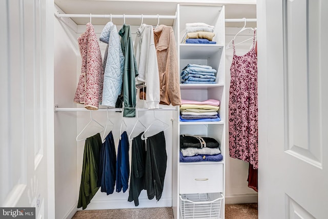 view of closet