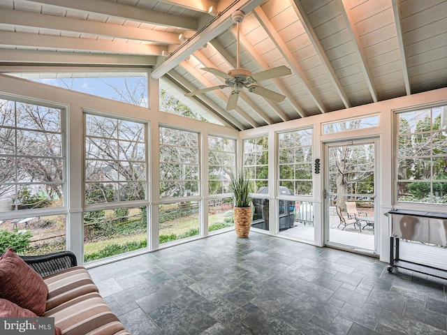 unfurnished sunroom with vaulted ceiling with beams, wooden ceiling, and a ceiling fan