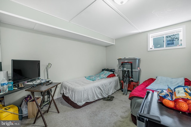 bedroom with carpet