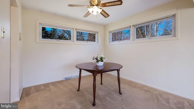 interior space featuring baseboards, a ceiling fan, and carpet flooring