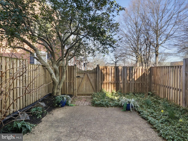 view of yard featuring a patio area, a gate, and a fenced backyard