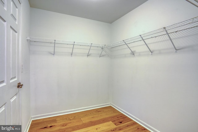 spacious closet featuring light wood-type flooring