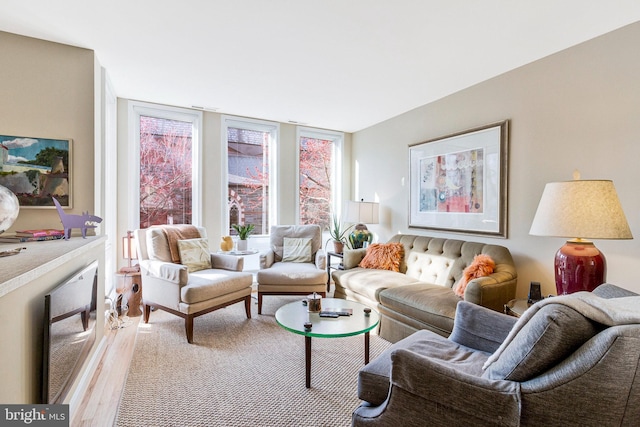 living area with wood finished floors