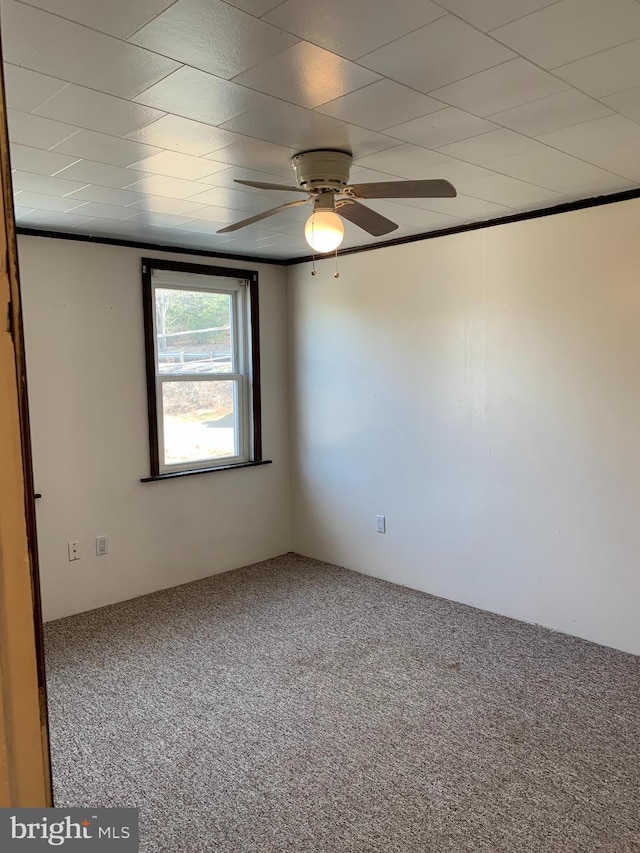 spare room with a ceiling fan and carpet