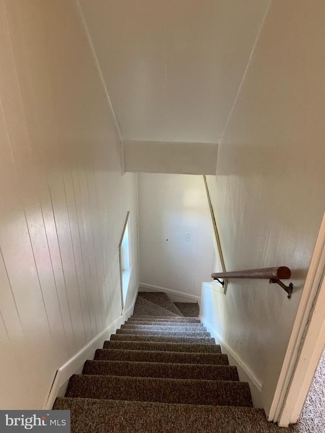 staircase featuring carpet flooring