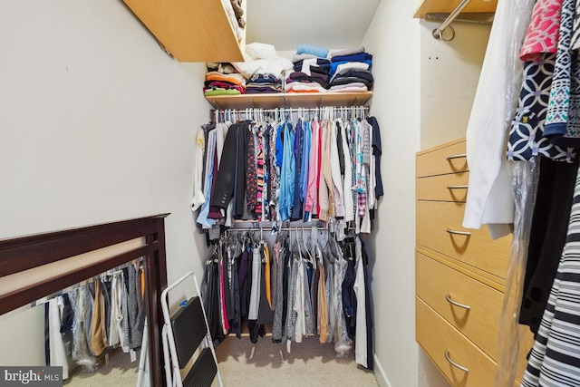 walk in closet with carpet floors