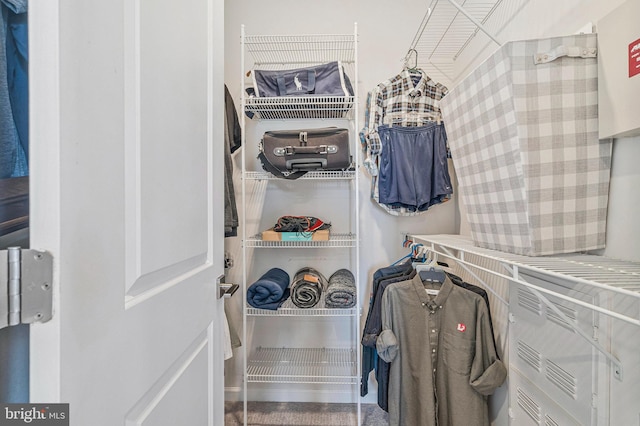 view of spacious closet