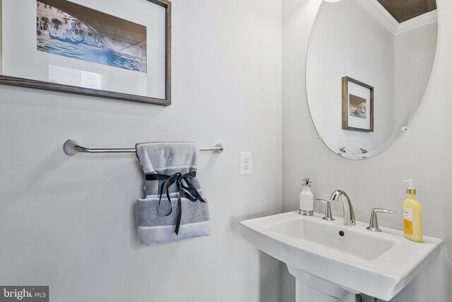 bathroom featuring crown molding and a sink