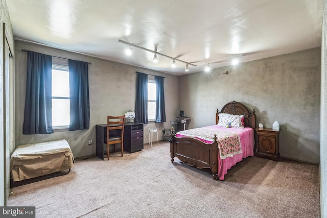 bedroom with carpet flooring, track lighting, and multiple windows