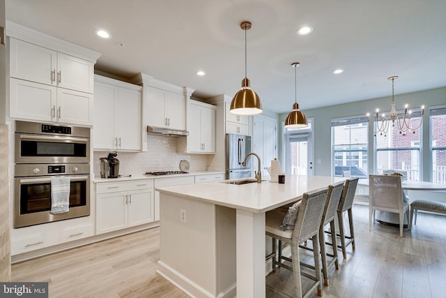 kitchen featuring light wood finished floors, tasteful backsplash, under cabinet range hood, stainless steel appliances, and a sink