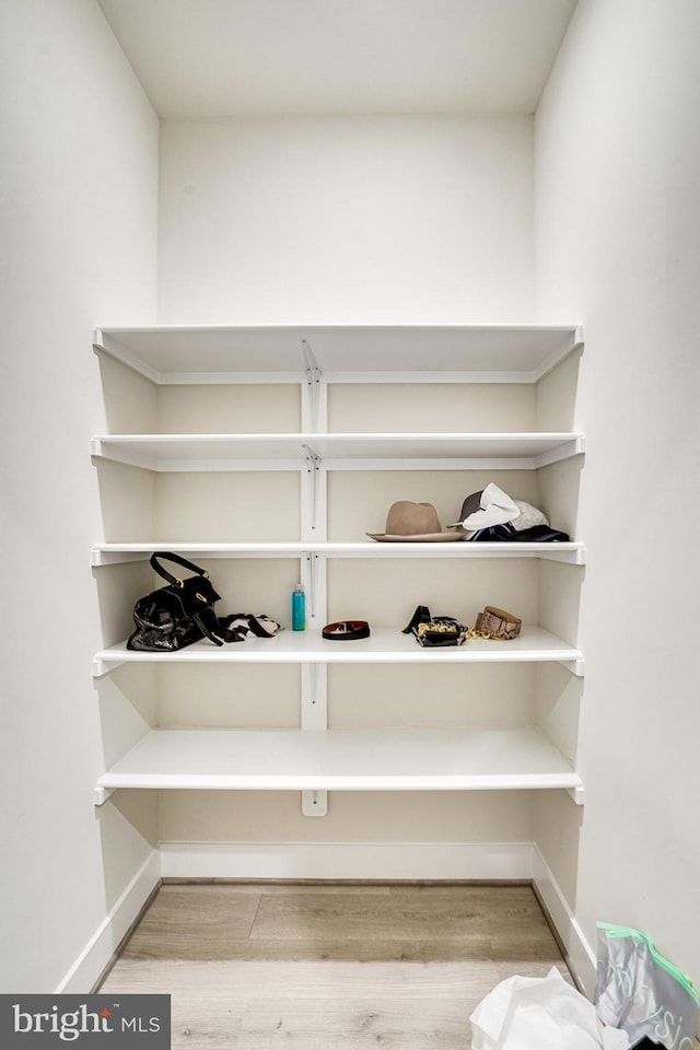 spacious closet featuring wood finished floors