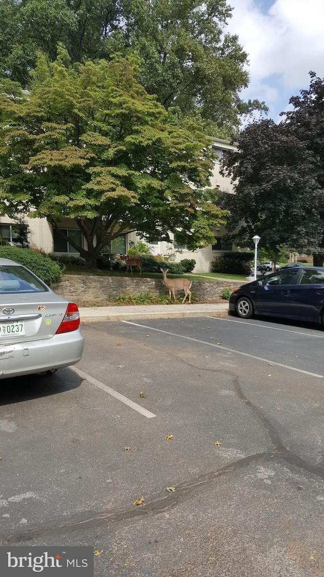 view of uncovered parking lot