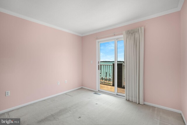 415 14th St Unit 55A, Ocean City, MD 21842 - spare room with carpet floors, baseboards, and ornamental molding