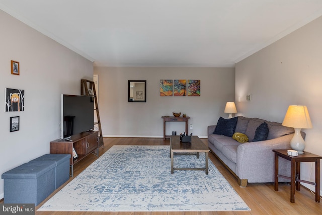 living area featuring wood finished floors and crown molding