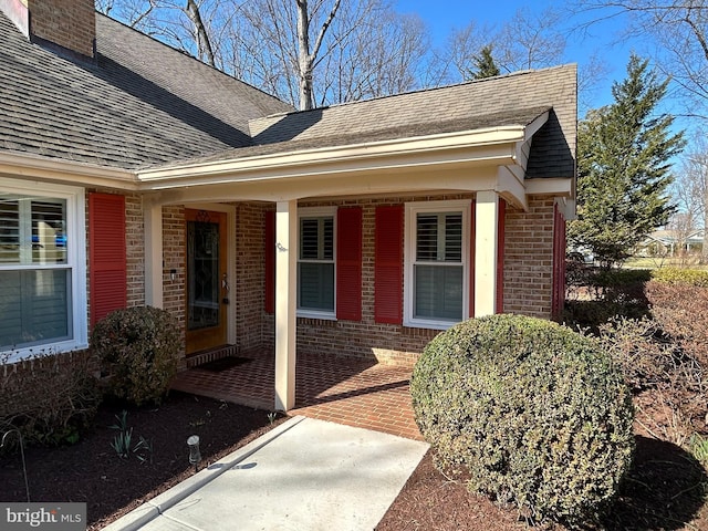 entrance to property with brick siding, a porch, and a shingled roof