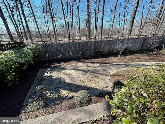 view of yard featuring a patio and a fenced backyard