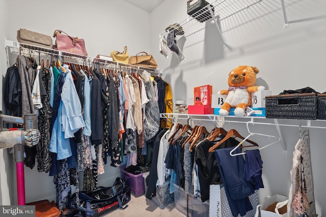 walk in closet featuring carpet