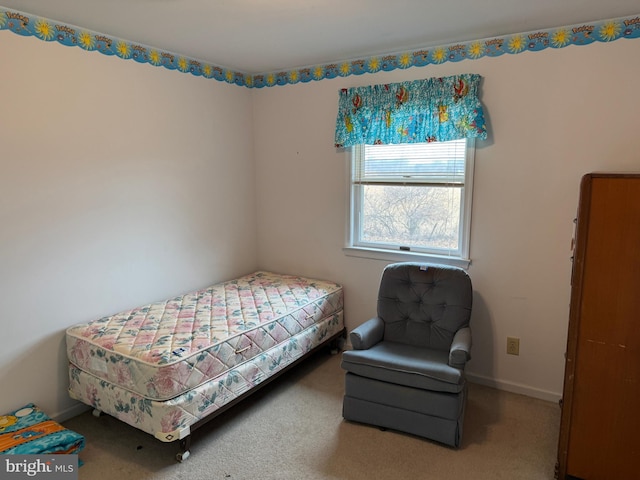 bedroom with baseboards and carpet floors