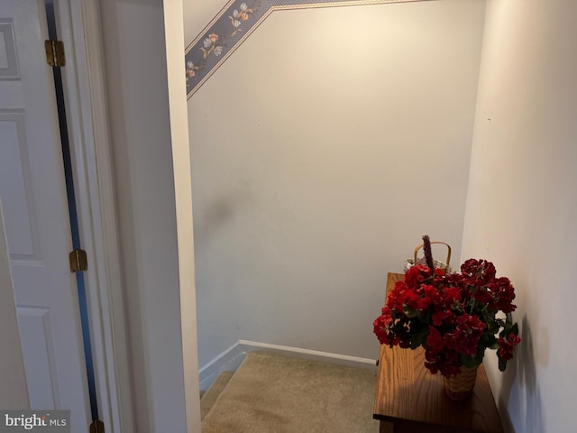 interior space with baseboards and carpet flooring