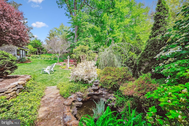 view of yard with a small pond