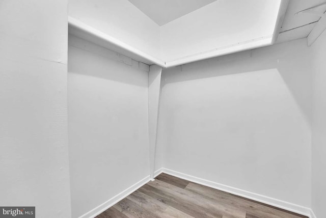 walk in closet featuring wood finished floors