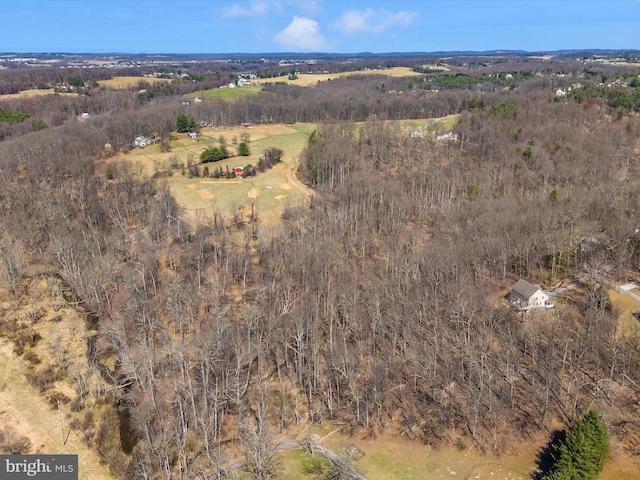 drone / aerial view