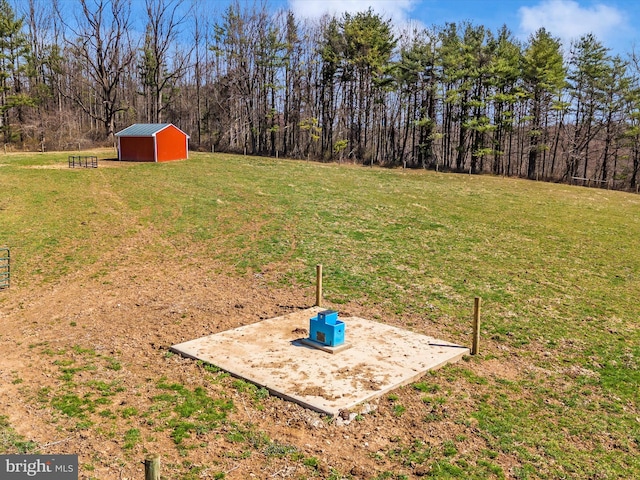 view of yard with an outbuilding