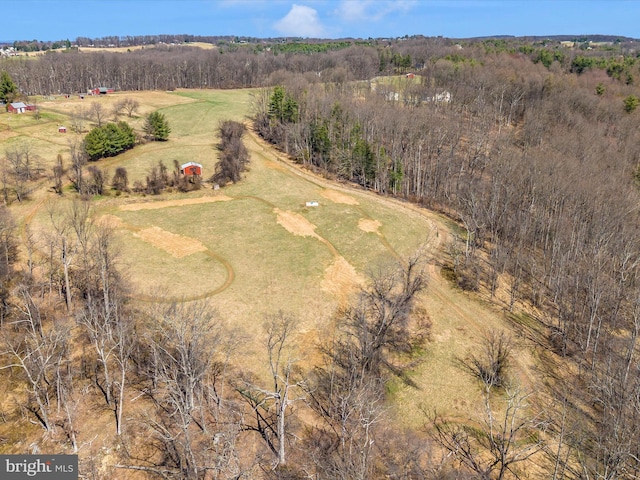 drone / aerial view featuring a rural view