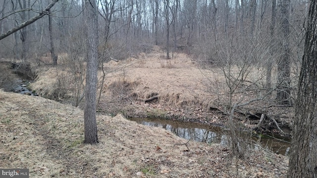 view of landscape