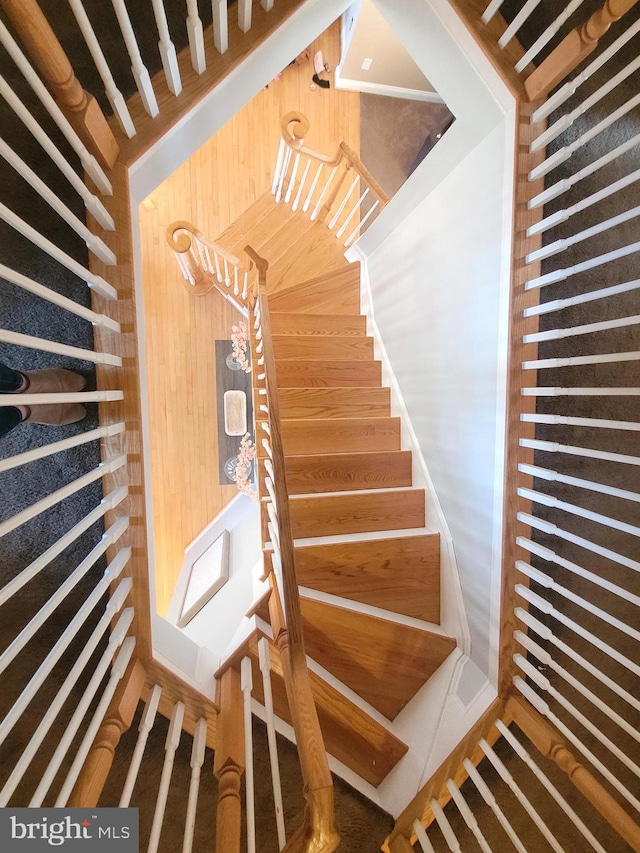 staircase featuring radiator heating unit and wooden walls