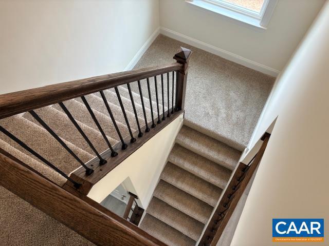 stairway featuring baseboards and carpet