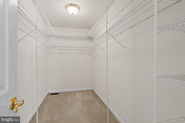 spacious closet with visible vents and carpet flooring