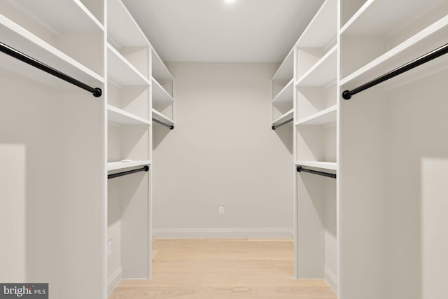 walk in closet featuring light wood finished floors