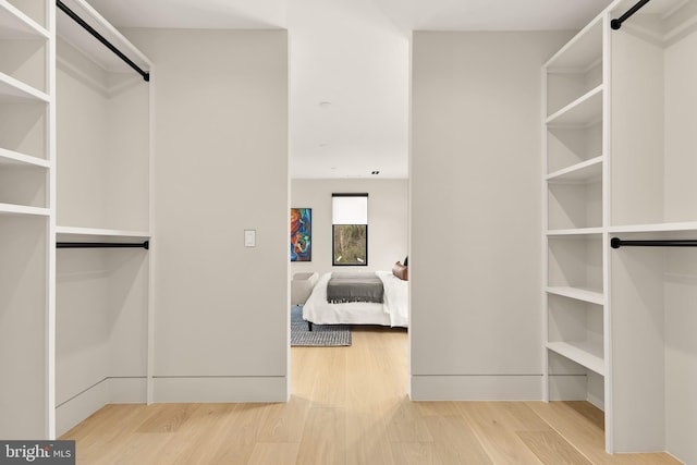 walk in closet featuring wood finished floors