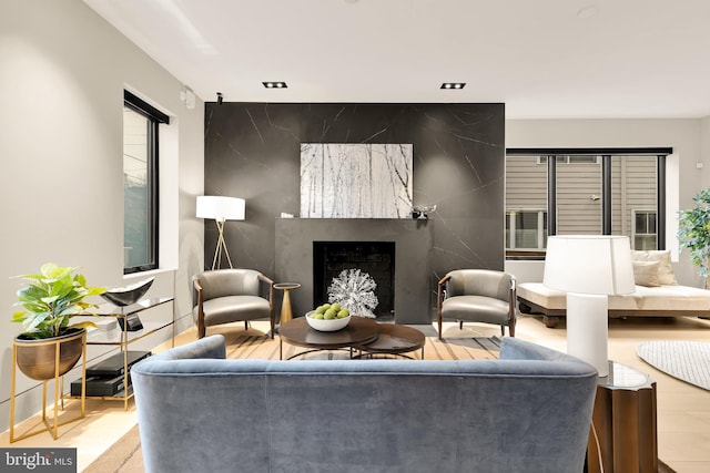 living area featuring wood finished floors and a premium fireplace