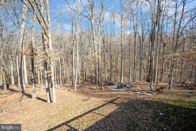 view of yard with a forest view