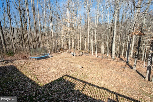 view of yard featuring a trampoline