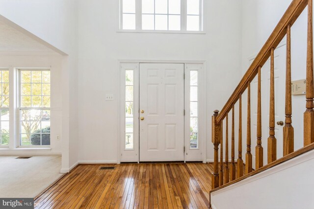 foyer with plenty of natural light and wood-type flooring