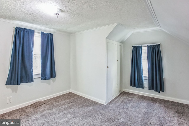 additional living space featuring a textured ceiling, carpet, and vaulted ceiling