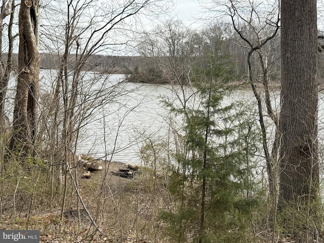 5290 Hickory Creek Pl, Indian Head, MD 20640 - water view with a forest view
