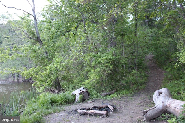 5290 Hickory Creek Pl, Indian Head, MD 20640 - view of local wilderness with a forest view