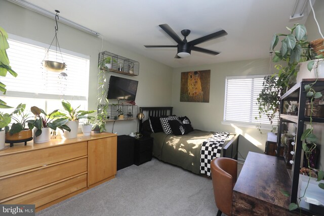 bedroom with carpet floors and ceiling fan