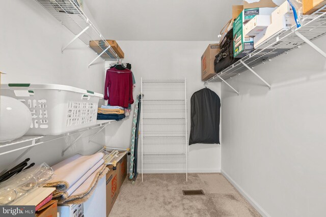 walk in closet with visible vents and carpet flooring