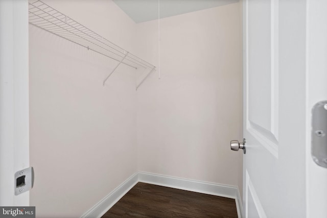 walk in closet featuring dark wood-type flooring