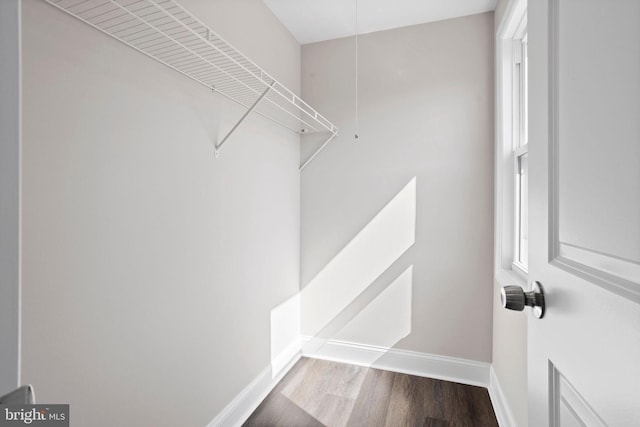 spacious closet featuring wood finished floors